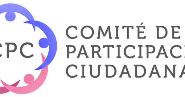 LOS COMITES DE PARTICIPACION CIUDADANA EN ACCION
